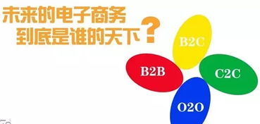 平台流量与市场覆盖