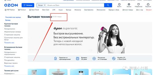 消费者需求与类目趋势分析