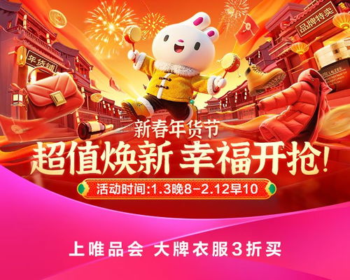 唯品会年货节专场活动