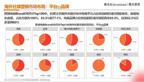 六、 全球市场与品牌塑造