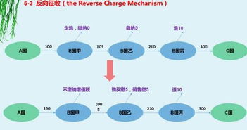 沙特阿拉伯增值税概述