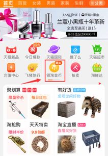 淘金币流量：免费还是付费的探索之旅