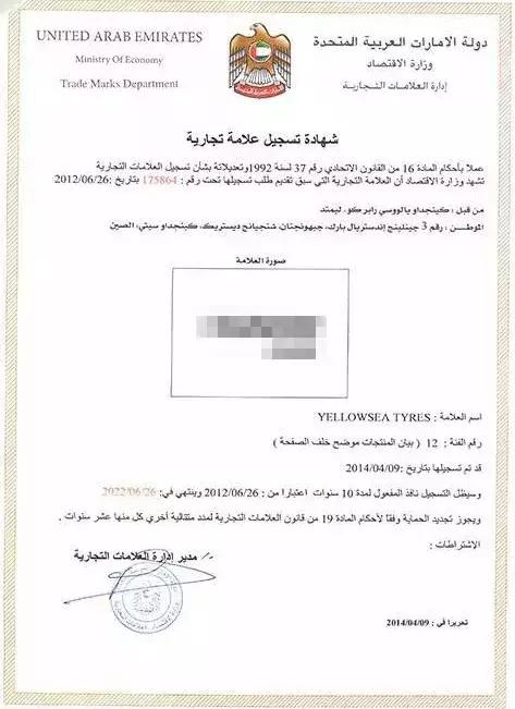 合同条款的全面审查