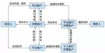 合规性与服务模式的适应性