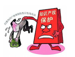 知识产权侵权的内涵及构成要素