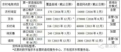 四、 农村淘宝的运营模式分析
