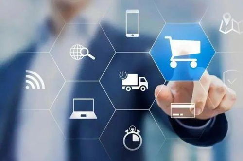 2. 用户触达与市场覆盖