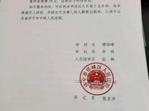 裁判文书网的记录消除：可Neng性与程序