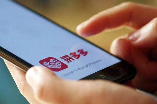 二、 多多进宝推广模式