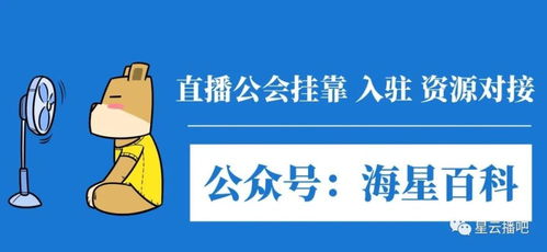 3. 直播内容质量