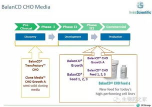 日本企业拓展海外市场的机遇