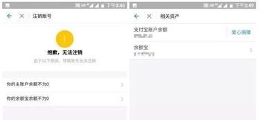 支付宝举报机制：保护用户权益的坚实防线