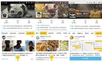 了解闲鱼平台的特点