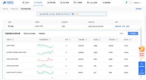 第二天至第三天：广告投放