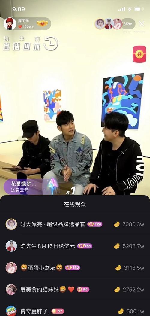 1. 个人影响力与观众群体