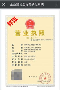 二、 营业执照：合法经营的身份证明