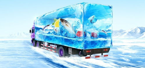 八、 冷链运输(COLDCHAINTRANSPORTATION)的定义与发展