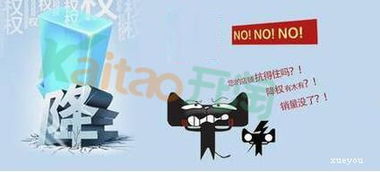 6. 优化店铺运营