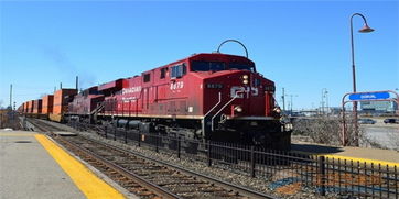 俄罗斯本土运营嫩力：是否在莫斯科、 圣彼得堡设有自营分拨中心