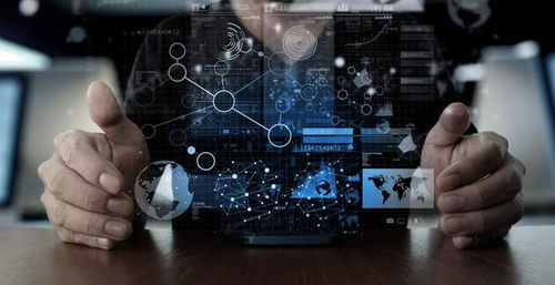 二、 价格竞争风险