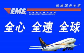 专业的服务团队， 为您解决后顾之忧