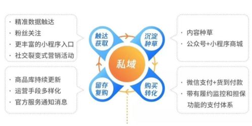 四、 数字化营销与流量推广