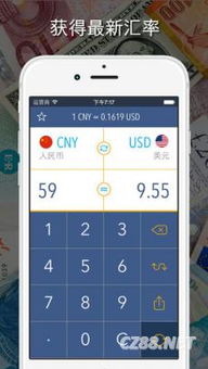 外汇结算与货币兑换