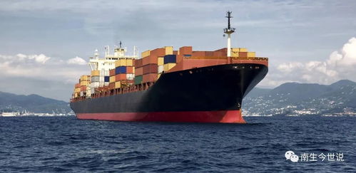 拼箱服务：共享舱位与风险共担的平衡逻辑