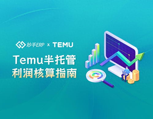 三、 TEMU半托管店铺运营要点