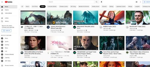 YouTube会员费用及其影响因素