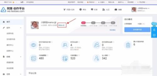 二、 淘宝达人开通的必要性与前景