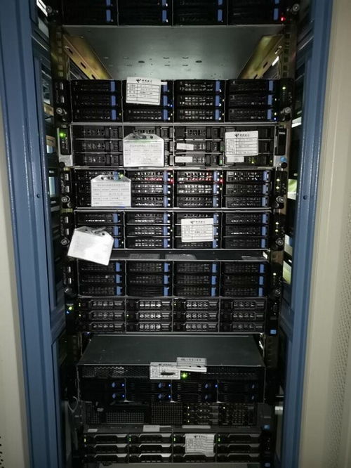 2. 选择性价比高的站群服务器