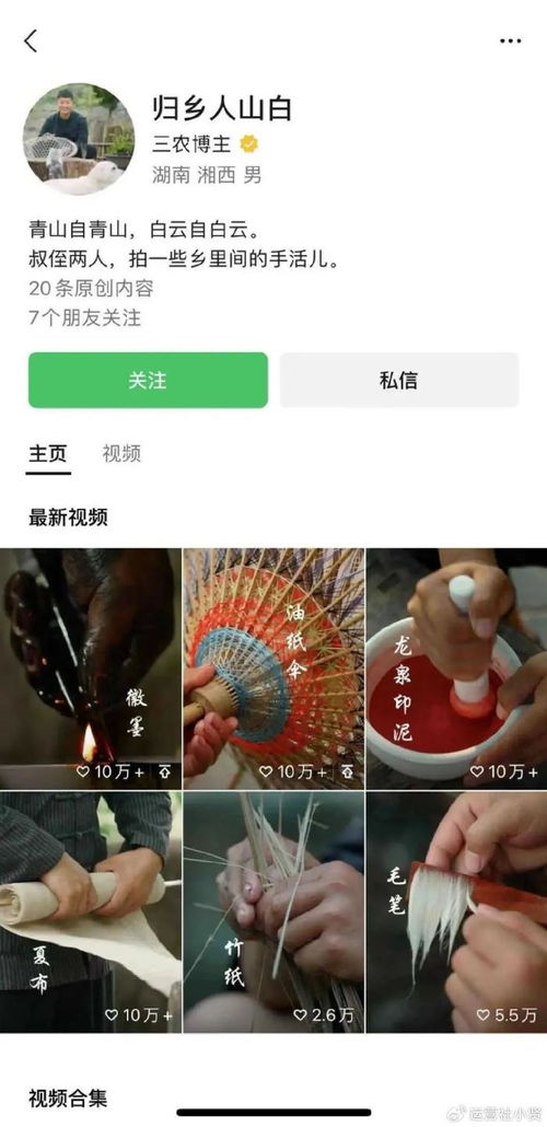 贫穷料理的逆袭：从法学生到美食顶流