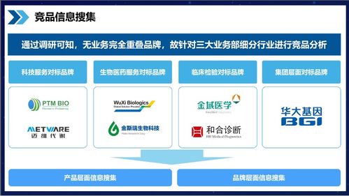 竞品分析与市场定位