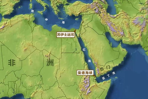 破局路径：动态航线网络与数字化韧性建设