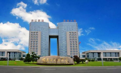 ：20万注册资本背后的商业智慧
