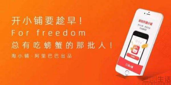 电商领域的新选择：淘小铺与淘宝联盟的崛起