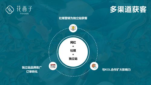 三、 主流社媒平台的选择与运用