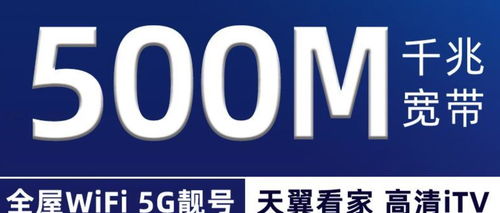 购买美国03类商标Flyfit的费用构成