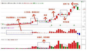 1. 选址规划阶段